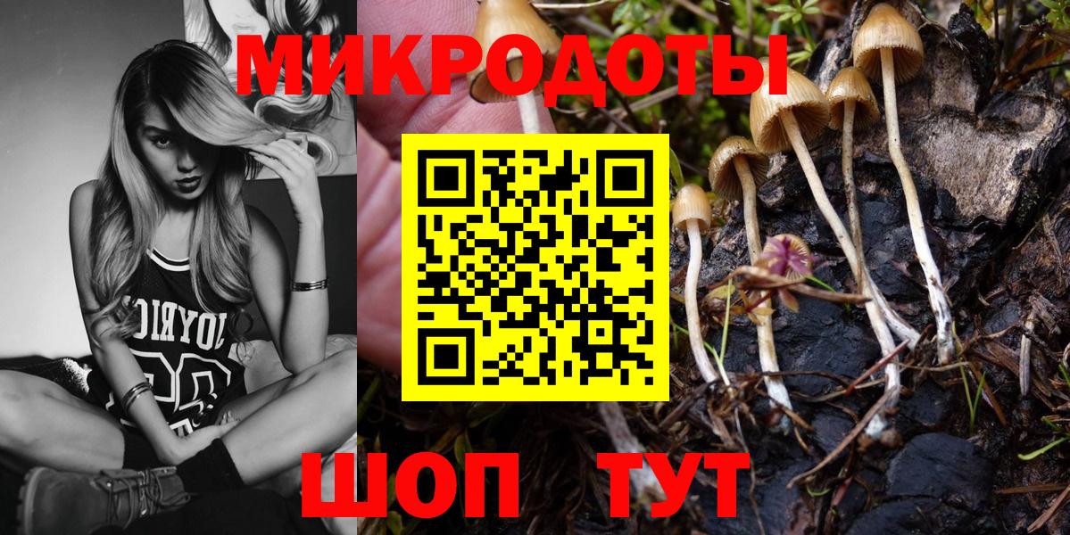 наркота  Галлюциногенные грибы Psilocybe  Вход с VPN  Ялуторовск 